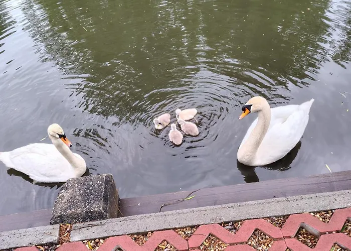 Pensión Spreewaldgasthaus Petkampsberg